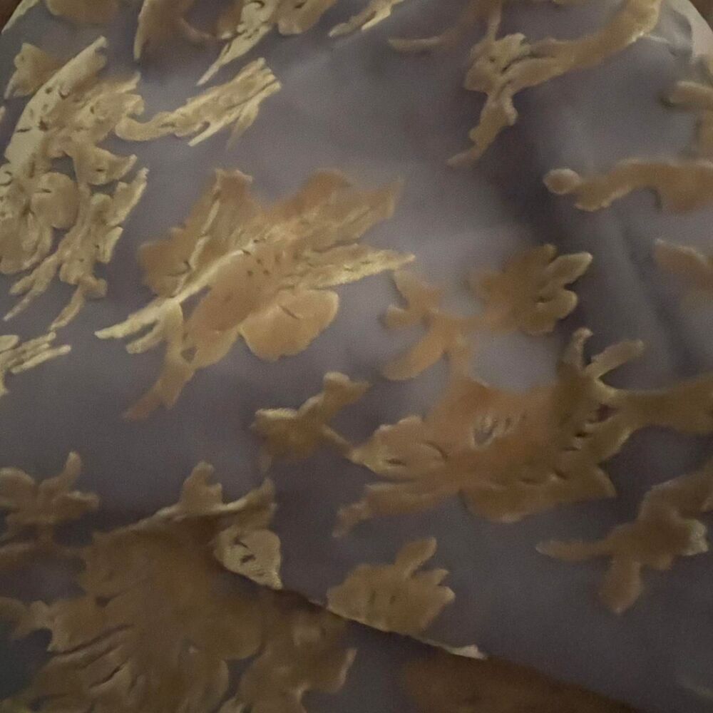 Edit by Nine Y2K Whimsigoth Velvet Burnout Sheer Floral Mini Slip Dress S - Picture 5 of 7